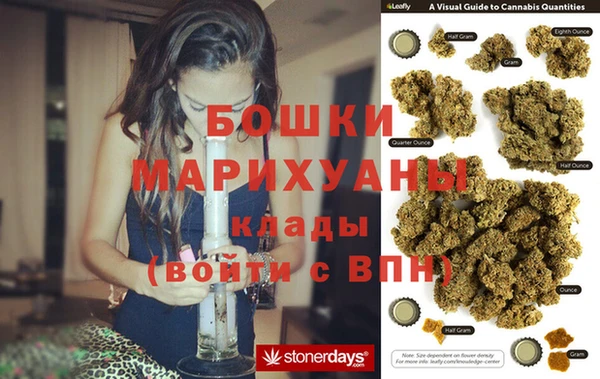 стаф Арсеньев
