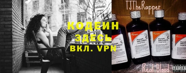 стаф Арсеньев
