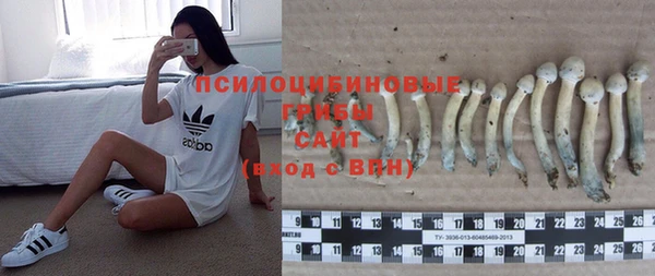 ALPHA PVP Армянск