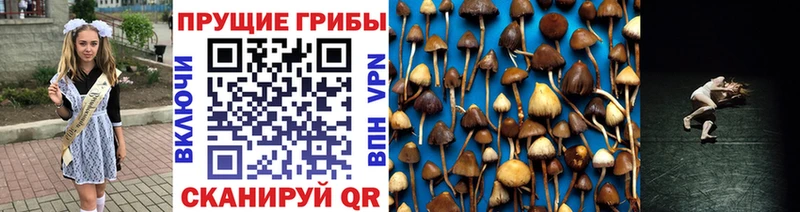 Галлюциногенные грибы ЛСД  как найти наркотики  Покачи 